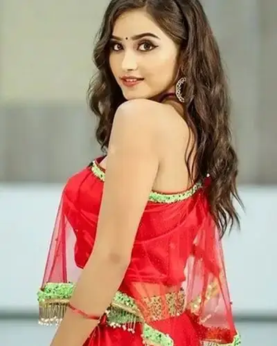 Call Girls Service Vadali